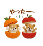 たれ耳な豆柴のグルメスタンプ（個別スタンプ：24）