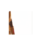 エスエイジィーエイ佐賀（個別スタンプ：9）