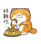 ランラン猫 69 (台湾版)（個別スタンプ：8）