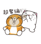 ランラン猫 69 (台湾版)（個別スタンプ：9）