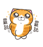 ランラン猫 69 (台湾版)（個別スタンプ：11）