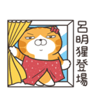 ランラン猫 69 (台湾版)（個別スタンプ：13）