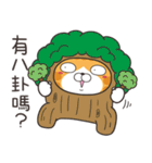 ランラン猫 69 (台湾版)（個別スタンプ：14）