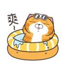 ランラン猫 69 (台湾版)（個別スタンプ：15）
