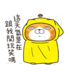 ランラン猫 69 (台湾版)（個別スタンプ：16）