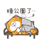 ランラン猫 69 (台湾版)（個別スタンプ：19）