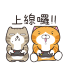 ランラン猫 69 (台湾版)（個別スタンプ：30）