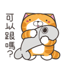 ランラン猫 69 (台湾版)（個別スタンプ：31）