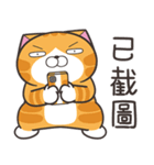 ランラン猫 69 (台湾版)（個別スタンプ：33）