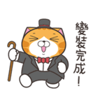 ランラン猫 69 (台湾版)（個別スタンプ：39）