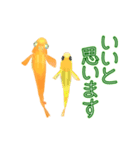 動くメダカ5 夏（個別スタンプ：9）