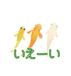 動くメダカ5 夏（個別スタンプ：10）