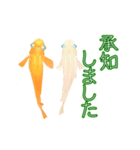 動くメダカ5 夏（個別スタンプ：15）