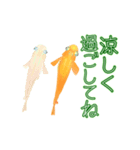 動くメダカ5 夏（個別スタンプ：17）