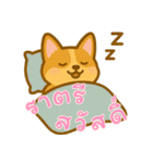 コーギーの生活 (タイ) Ver2（個別スタンプ：2）