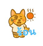 コーギーの生活 (タイ) Ver2（個別スタンプ：3）