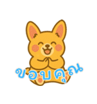 コーギーの生活 (タイ) Ver2（個別スタンプ：19）