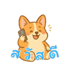 コーギーの生活 (タイ) Ver2（個別スタンプ：25）