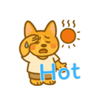 コーギーの生活 (えいご) Ver2（個別スタンプ：3）