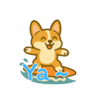 コーギーの生活 (えいご) Ver2（個別スタンプ：7）