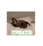 sia's life moving（個別スタンプ：3）