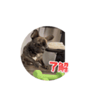 sia's life moving（個別スタンプ：11）