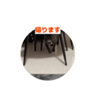 sia's life moving（個別スタンプ：13）