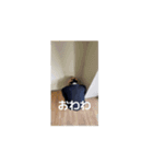 ありがとうアリさん（個別スタンプ：11）
