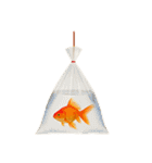 エンジョイ夏祭り（個別スタンプ：36）