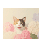 ねこなで(夏を感じるサマーなスタンプ)（個別スタンプ：16）