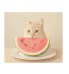 ねこなで(夏を感じるサマーなスタンプ)（個別スタンプ：19）