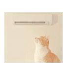 ねこなで(夏を感じるサマーなスタンプ)（個別スタンプ：30）