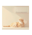ねこなで(夏を感じるサマーなスタンプ)（個別スタンプ：31）