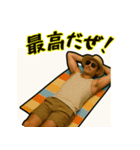 サニー・ヒデ【旅とBBQと陽気な日常】（個別スタンプ：13）