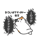 コミュ障な三毛猫(ちょいうざ)（個別スタンプ：12）