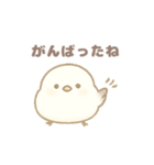 もちもち！ことり便〜シマエナガ〜（個別スタンプ：21）
