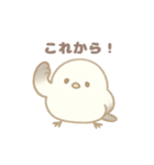 もちもち！ことり便〜シマエナガ〜（個別スタンプ：31）