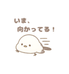 もちもち！ことり便〜シマエナガ〜（個別スタンプ：35）