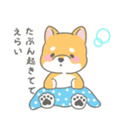 柴犬くんのとにかく褒めるスタンプ（個別スタンプ：1）