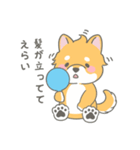 柴犬くんのとにかく褒めるスタンプ（個別スタンプ：2）