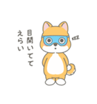 柴犬くんのとにかく褒めるスタンプ（個別スタンプ：5）