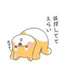 柴犬くんのとにかく褒めるスタンプ（個別スタンプ：10）