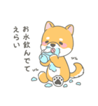 柴犬くんのとにかく褒めるスタンプ（個別スタンプ：12）
