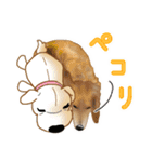 ダックス♡リアル風 落書き風などのmix（個別スタンプ：2）
