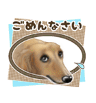 ダックス♡リアル風 落書き風などのmix（個別スタンプ：7）