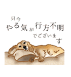 ダックス♡リアル風 落書き風などのmix（個別スタンプ：9）