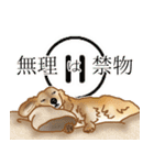 ダックス♡リアル風 落書き風などのmix（個別スタンプ：10）