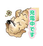 ダックス♡リアル風 落書き風などのmix（個別スタンプ：11）