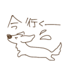 ダックス♡リアル風 落書き風などのmix（個別スタンプ：16）