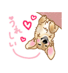 ダックス♡リアル風 落書き風などのmix（個別スタンプ：17）
